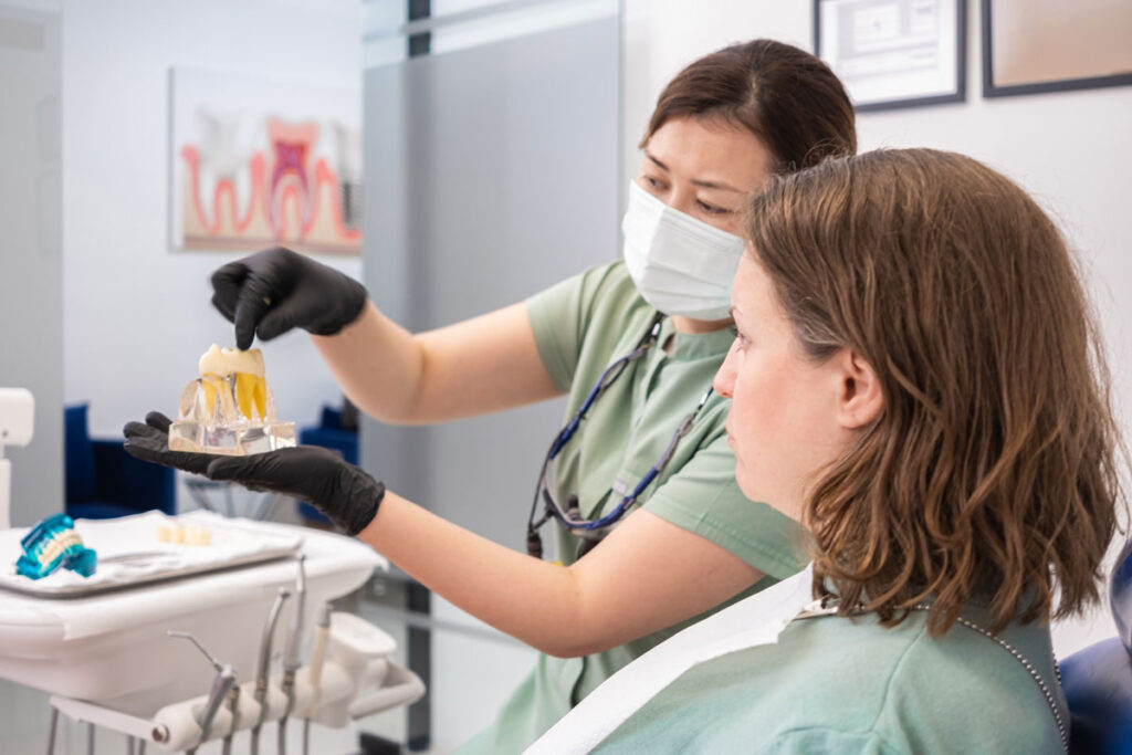 medic stomatolog explica coroana implantului dentar pe modelul dentar